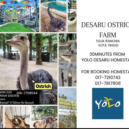 Desaru Homestay-Eva Villa Pool Homestay By Yolo Resort Bandar Penawar Exterior foto